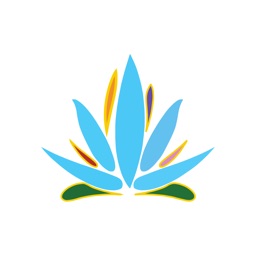 Yoga Segrate