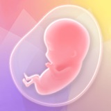 Nurture Pregnancy Week by Week