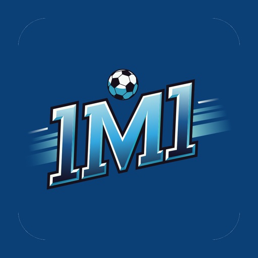 1M1