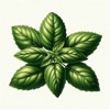 Herbs Atlas icon