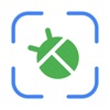 Bug ID: Entomology expert icon