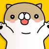 こちょねこ
