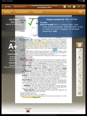 Equineline Sales Catalog screenshot 1