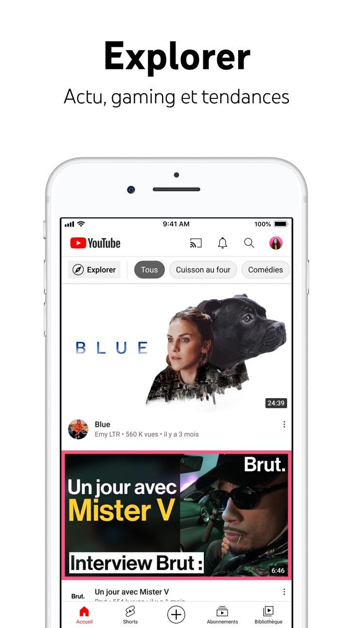 YouTube Plus iOS Mod IPA screenshot 5 - iOS app interface