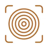 Wood Identifier: AI Scanner