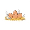HenWise – Chicken Egg Tracker icon