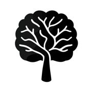 Reprogram: Daily Visualization