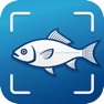 Get AI Fish Identifier for iOS, iPhone, iPad Aso Report