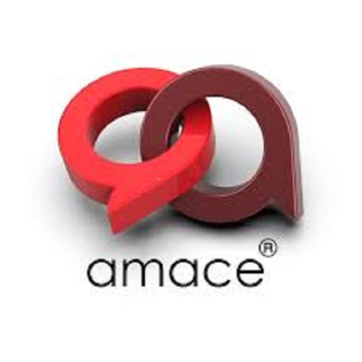 Amace Solutions HRMS