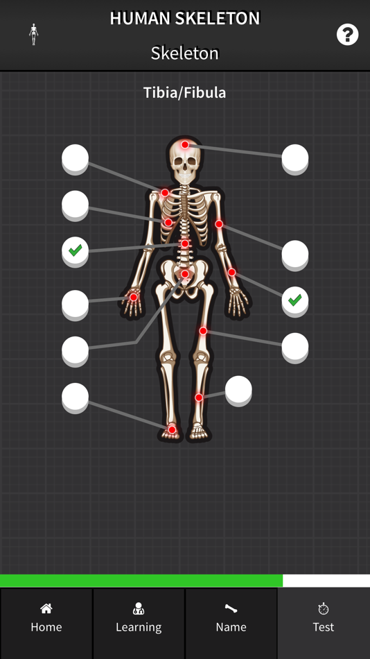 #2. Human Skeleton: Beginner Bones (iOS) 由: Unit11
