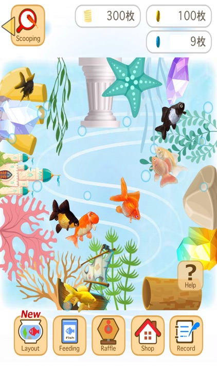 Goldfish scooping festival