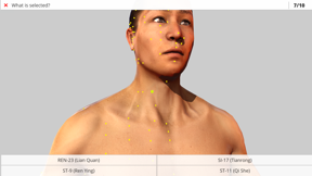 Visual Acupuncture 3D screenshot