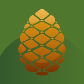 Allemansappen