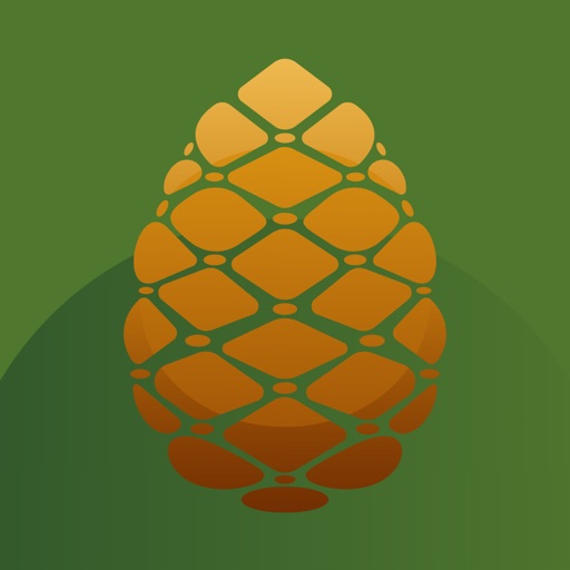Allemansappen