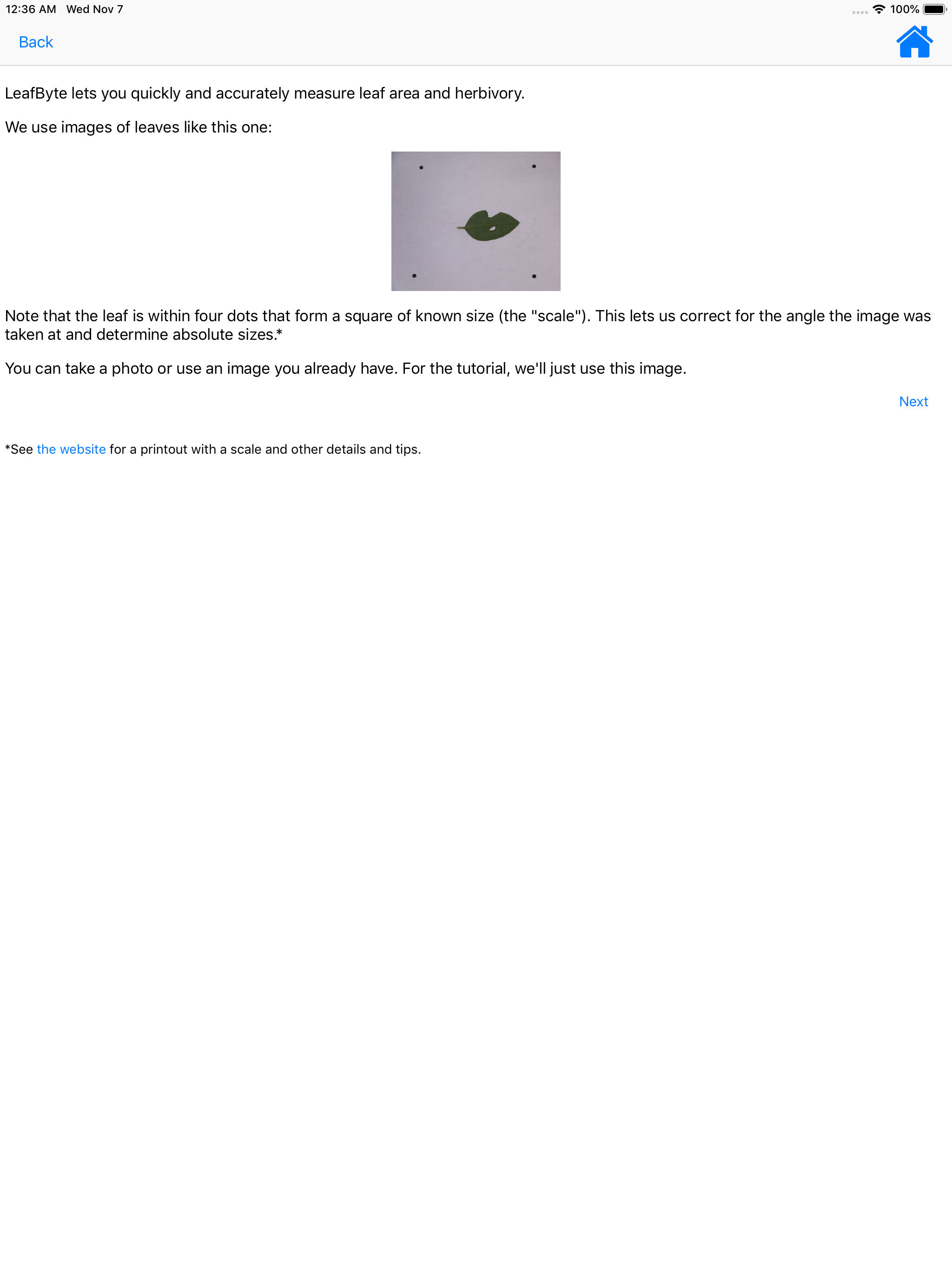LeafByte