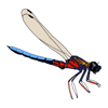 DragonflyPro - High Branching cc