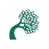 Bent Tree For Providers icon