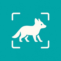 Animal AI - animal identifier