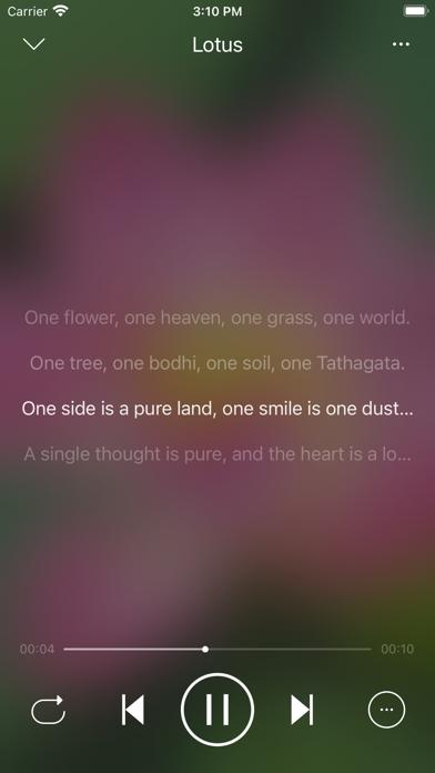 LoveMusic Player - Local Play Screenshot