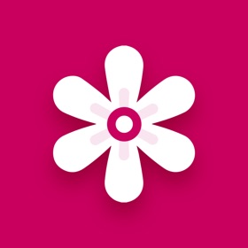 Gallery – Photo Vault