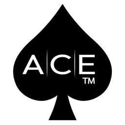 Ace Car Spa