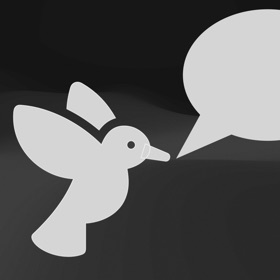 Bird Sound Identification