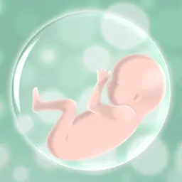 Hello! Baby app icon
