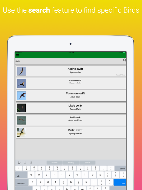 Britain UK Birds Dictionary iPad screenshot