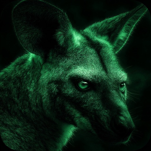 Night vision style camera