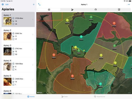 Screenshot #4 pour ApiFields