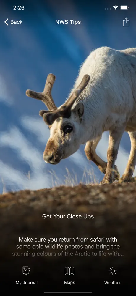 Natural World Safaris