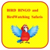 BirdBingo&BirdWatching Safaris icon