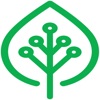 IRecycle icon