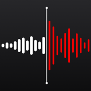 Voice Recorder: Speech to Text