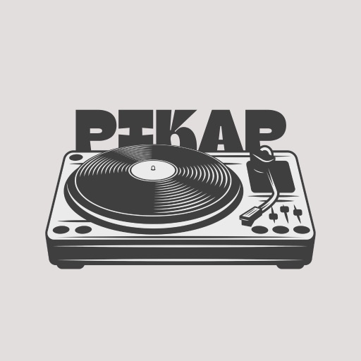 pikap: Vinyl Record Player