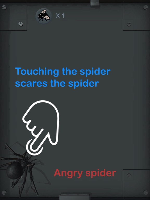 Spider Pet - Creepy Widow iPad screenshot 4 - Entertainment app