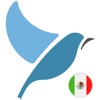 Bluebird (ブルーバード)：メキシコのスペイン語