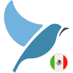 Bluebird: Mexican Spanish