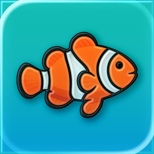 Fish Identifier: 96% Accurate