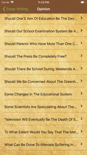 Essay Writing - IELTS / TOEFL screenshot 2