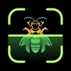 Insect Identifier - iPhoneアプリ