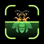 Download Insect Identifier app