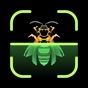 Insect Identifier app download