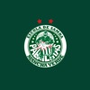 Mancha Verde Bank icon
