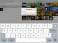 Easy Albums ipad bilder 1