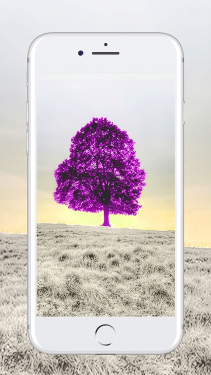 Wallpapers HD For Lock Screens screenshot-3