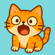 El Gato - the Cat