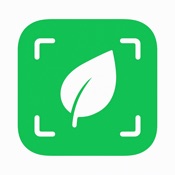 Plant Identifier - Verdify