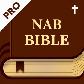 Snímky obrazovky (7) NAB Audio Bible Version Pro