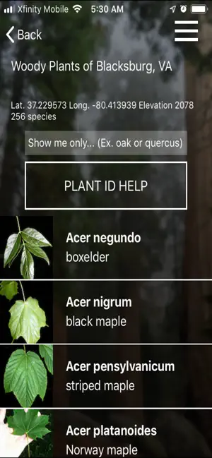 vTree screenshot 3